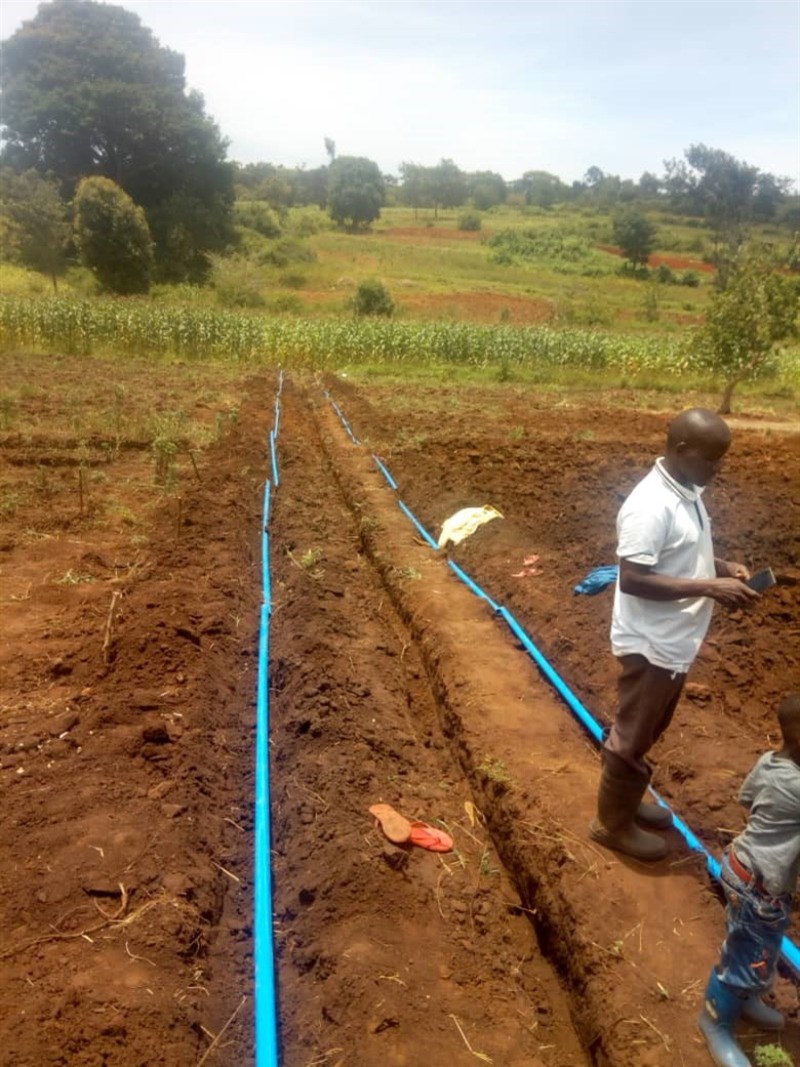 Piping being laid