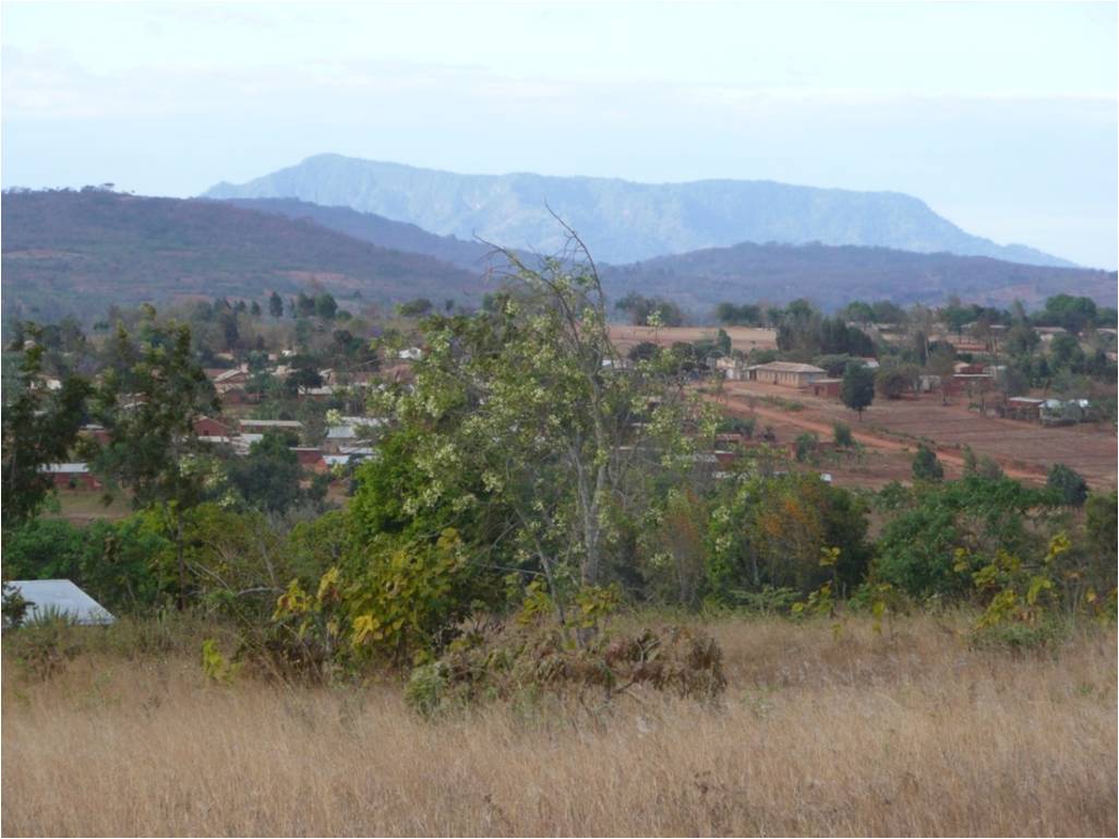 Bereko